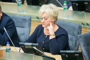 Paaiškėjus informacijai apie I. Rozovą, prašoma tyrimo dėl Rusijos įtakos