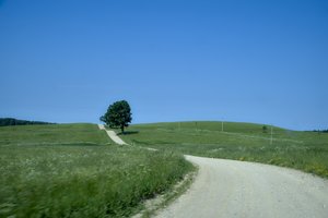 Kviečia teikti paraiškas paramai asfaltuoti vietinius žvyrkelius