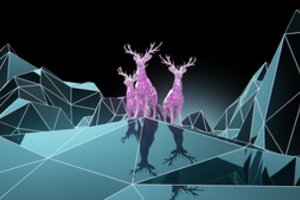 Festivalio „Sostinės dienos“ atradimas – Neries vandens ekranas
