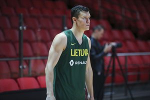 Paaiškėjo, kurie du rinktinės žaidėjai praleis dvikovą prieš čekus