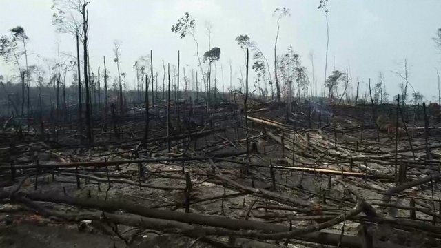 Degančius Amazonės miškus apgaubė dar viena stichija