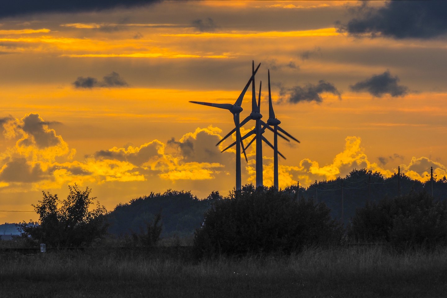   Abu scenarijus savo leidinyje apie vėjo energetiką ir Europos energetikos sistemos elektrifikaciją apibrėžė vėjo energetikos organizacijas vienijanti asociacija „Wind Europe“.<br>V.Ščiavinsko nuotr.
