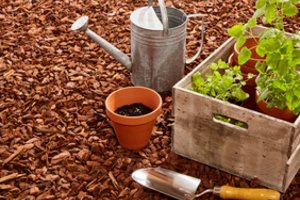 Rudeninis sodo ir daržo pagalbininkas – mulčias