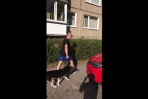 Prie daugiabučio Klaipėdoje užfiksuotas poelgis su haskiu paliko be žado – palydėjo grasinimais