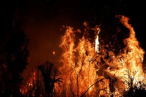 Pražūtingi Amazonės miškų gaisrai kaitina ir politinius ginčus