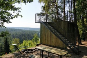 Vidury šio miško galima išvysti vienintelį tokį statinį Lietuvoje – matysite net už 31 km