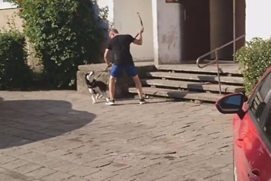Uostamiestyje vaiko akivaizdoje haskį mušęs vyras sulaukė bausmės