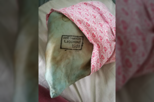 Ligoninėje praskleidė pagalvės užvalkalą – nuo vaizdo net bloga pasidarė