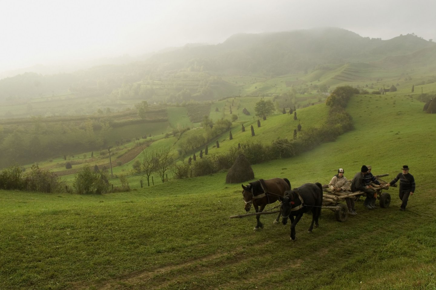  Reabilitacijos centras įsikūręs Rumunijos Maramurešo regione, garsėjančiame vaizdingais kalnų peizažais.<br> akg images/Scanpix nuotr.