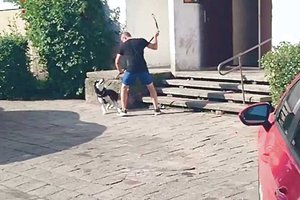 Už smūgius šuniui gavo grąžos: atomazga buvo ne visai tikėta