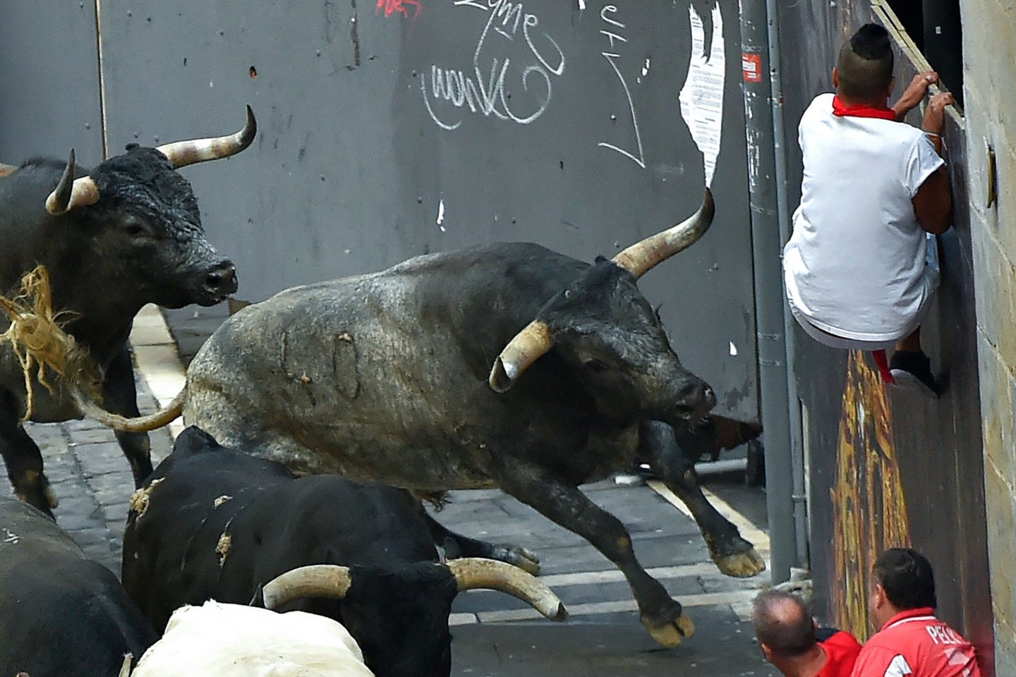 Ispanijoje per festivalį bulius mirtinai subadė žiūrovą.<br>AFP/Scanpix nuotr.