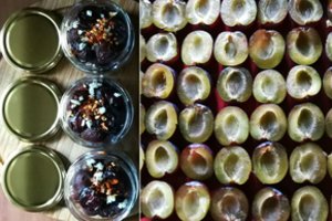 Vytintos slyvos bet kokiam patiekalui suteiks gurmaniško skonio