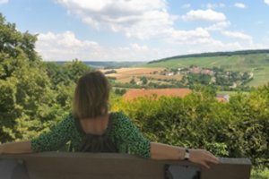 Pažintis su Šampane:  kur nukeliauti, ko paragauti 