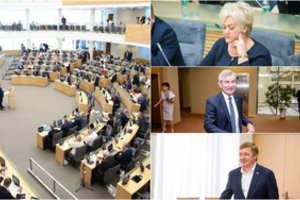 Atskleidė kitą Seimo pasiekto rekordo pusę