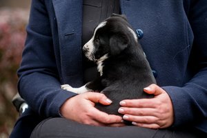 Troboje užrakintų augintinių laukė žiaurus likimas