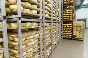 „Rokiškio sūris“ pusmečio nuostolius sumažino 2,3 karto