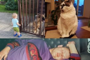 Kai išgirdo naują tėvo idėją, mama tegalėjo atsakyti : „Eik peklon!“