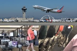 Keleiviai apstulbo: skrydžių baimę turinti amerikietė į lėktuvą parsivedė ponį