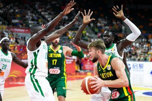 Senegalo žiniasklaida kraipo galvas: „Lietuviai sukandžiojo liūtus“