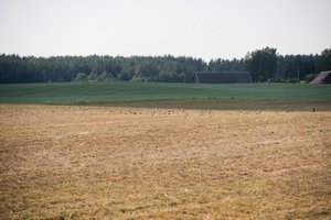 Nukentėjusiems nuo augalų iššalimo – draudimo įmokų kompensavimas