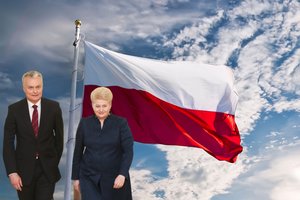 G. Nausėda rado D. Grybauskaitės iškastą „duobę“ – ar pavyks ją užlyginti?