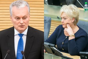 G. Nausėda: I. Rozovos klausimas – prezidento dispozicijoje
