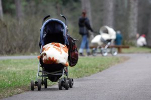 V. Šapoka apie vaiko pinigus: ministerijos rengiama prognozė „nuims rožinius akinius“