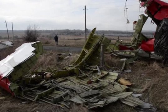 Galimai prie MH17 aviakatastrofos prisidėjęs vyras paleistas į laisvę