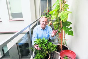 Nacionalinio Kauno dramos teatro direktorius Egidijus Stancikas daržoves augina neįprastoje vietoje