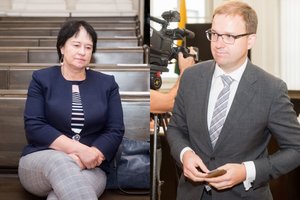 Dėl vieno sklypo Vilniuje Vytautas Gapšys bėgiojo pas ministrę