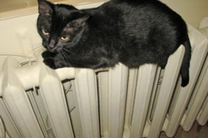 Suteikė viltį dėl artėjančio šildymo sezono kainų, bet yra vienas „bet“