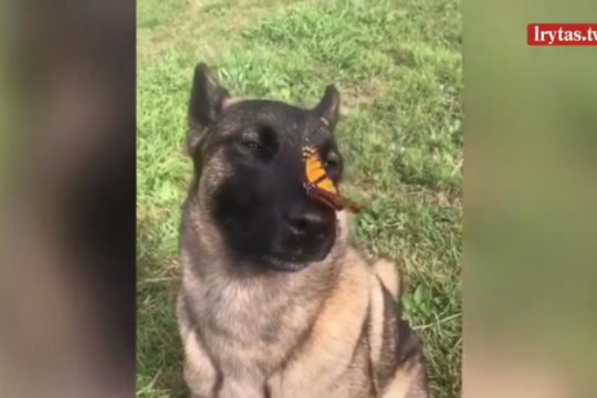 Parke pamatė nekasdienį vaizdą – užgimė neįprasta draugystė