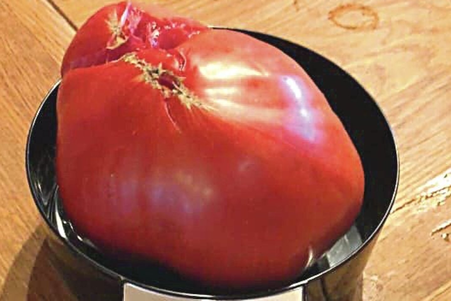 Lietuvoje sunoko įspūdingo dydžio ir svorio pomidorai.<br>Lrytas.lt nuotr.