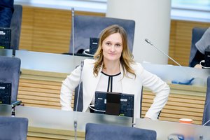 Opozicija: dėl nepasitikėjimo V. Pranckiečiu reikėtų spręsti tik po I. Rozovos tyrimo