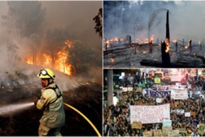 Nevaldomą ugnį Žemėje užkūrė žmonės: lietingas sezonas vėluoja, padariniai katastrofiški visiems