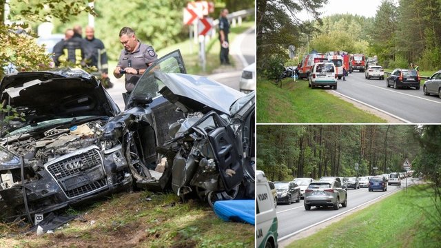 Vaizdai iš įvykio vietos: kraupios kaktomušos Vilniuje aukų skaičius daugėja