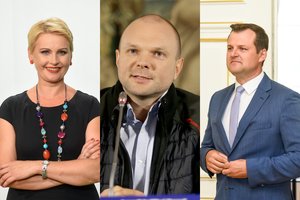 Trijų laisvų mandatų dalybos: R. Janutienė pirmauja, G. Paluckas ir K. Krivickas – antri