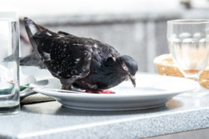 Suskaičiavo, kas labiausiai brango ir tuštino mūsų pinigines