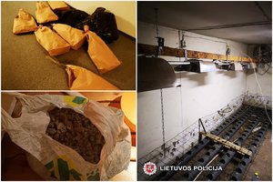 Marijampolėje – neeilinė sulaikymo operacija: aptikta kanapių auginimo laboratorija
