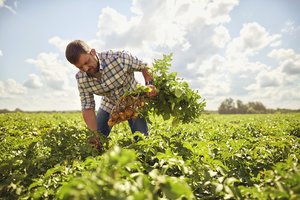 Aukšti reikalavimai paskatino ūkininką sparčiau diegti inovacijas 
