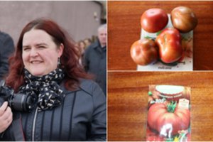 Pomidorai, už kurių sėklas šiemet mokėjau daugiausia: pasakysiu, ar apsimokėjo