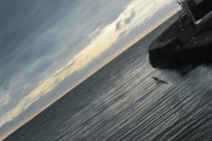 Šviesoraščio simpoziumas Nidoje: kaip  kolekcionuoti fotografiją?