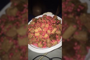 Greta Vilniaus – šiurpus radinys: augintiniai mirtinai nukraujuoja