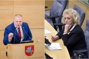 Po vaidų Seime – nesutarta dėl parlamentinio tyrimo, susijusio su I. Rozova
