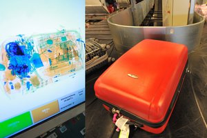 Radinys lagamine oro uoste šokiravo pareigūnus, bet keleivio pasiteisinimas – pribloškiantis