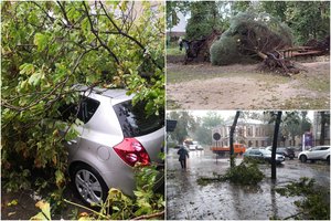 Šiauliams staiga smogusi galinga audra pridarė bėdos