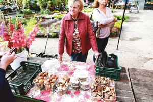 Tokių grybų kainų seniai nebuvo – perka net ne po vieną litrą
