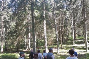 Įspėja lankytojus Juodkrantėje: kenkėjų pavojus net žmonėms