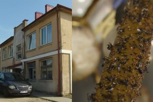 Pravėrus šio buto Biržuose duris vaizdas verčia žiaukčioti, bet žmogus čia tebegyvena