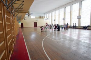 Lyg perkūnas iš giedro dangaus kūno kultūros mokytojus pasiekė žinia – jų niekam nebereikia